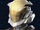 Casca 2-F.png