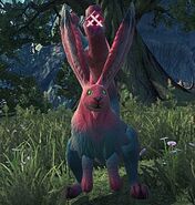 Evoke Bunnit
