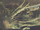 New Alrest.png