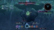 Coronid Eye