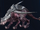Kringe, the Hunting Arrow