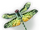 Noctilucent Dragonfly