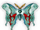Tenacious Moth