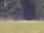 Bionis' Wrist