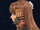 Visor 5-F.png