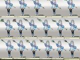 Appearance/Melia