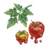 Amidresian icon.png