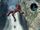 Ascent1.jpg