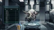 Caecus c hf