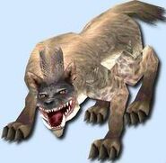 Ferocious Volff