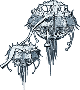 XC2-leftherian-artwork
