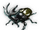 Tractor Beetle