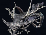 Elvira, the Talondrake