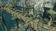 XCX Exploration 25