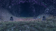 Arachno Feeding Lair DE