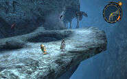Bone corridor-2