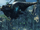 Frontier 精灵 (6).png