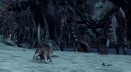 Cat vs Crab