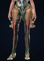 Forza Plantars F.jpg