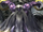Giant Zanza.png