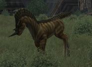 Lampo ponio