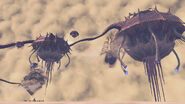 XC2-leftherian-screen-3