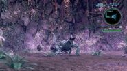 The 流浪者 king