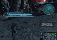 XCX-FN-Site-301