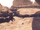 Afriendinneed2.png