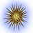 Amana Durian icon.png