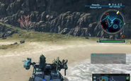 XCX-Normost-Cove-01