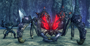 Elder Arachno & Wulfric