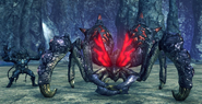 Elder Arachno & Wulfric