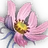 Sekka Cosmos icon.png