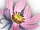 Sekka Cosmos