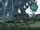 Canopied Nightwood BC