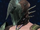 Valor Vizard