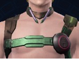 Valor Vestis