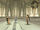 Ceremony hall.jpg