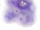 Aqua Nebula (Bionis' 肩)