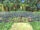 Apex lake-day.jpg