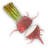 Ruge daikon.png