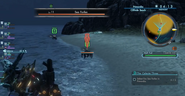 XCX-Sea-Forfex-03
