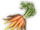 Keppo Carrot