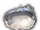 Sea Anemone Platter