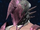 Vivid Vizard