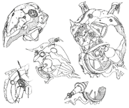 Xord sketches