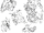Xord sketches.gif