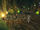 Underground store-1.jpg
