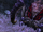 Arachno Queen.png